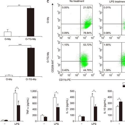 Differential Activation Between Tissue Resident And TG Elicited