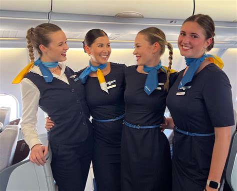 Discover Airlines Is Looking For Cabin Crew Airline Staff Rates