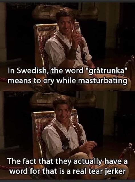 The Best Sweden Memes Memedroid