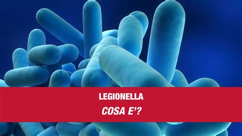 LEGIONELLA COSA E Itap