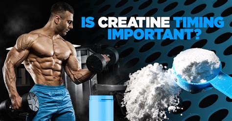 Is Creatine Timing Important? – Prosource