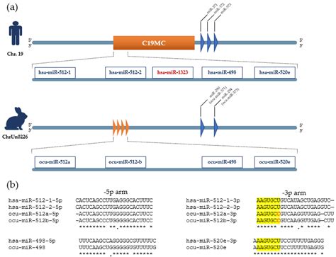 Genes Free Full Text Pluripotency Associated Micrornas In Early