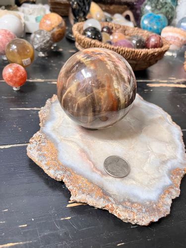 Petrified Wood Sphere Ashley Fay Crystals