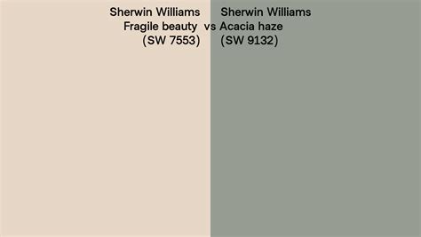 Sherwin Williams Fragile Beauty Vs Acacia Haze Side By Side Comparison