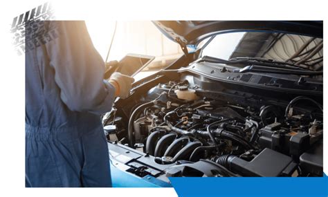 Valor Da Limpeza De Bico