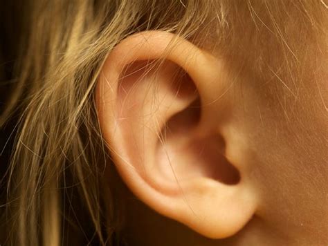 How To Quiet Ringing In The Ears Constant Ringing Ears