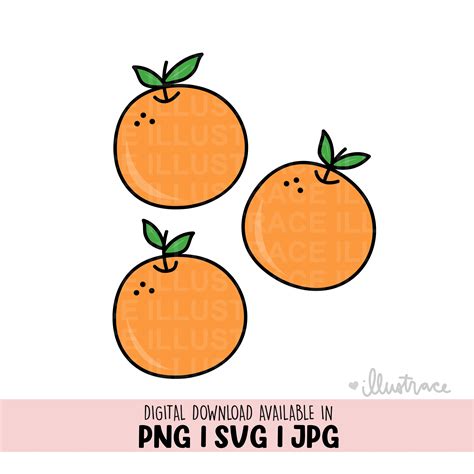 Orange Svg Oranges Svg Fruit Svg Fruit Png Cut File Vector Cricut