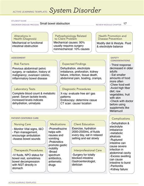 System Disorder small bowel obstruction - ACTIVE LEARNING TEMPLATES ...