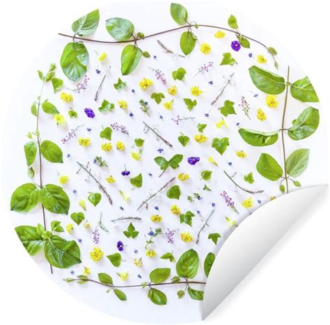 WallCircle Muurstickers Behangcirkel Typisch Botanische Bloemen