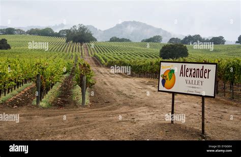 Alexander Valley Sign Stock Photo Alamy