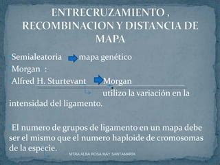 Mapa Gen Tico Ppt