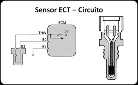 Diagrama De Conexion De Sensor De Temperatura Mostrar Temper