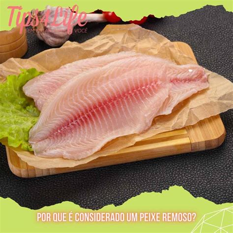 O peixe tilápia é remoso ou não Tips4Life