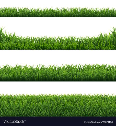 Green Grass Borders Set White Background Vector Image