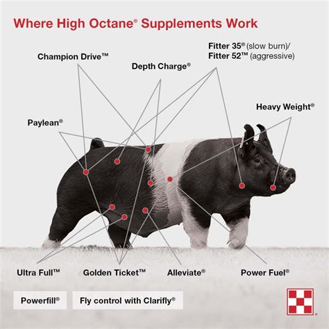 Purina High Octane Supplements The Pulse