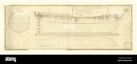 English Atalanta 1775 Scale 148 Plan Showing The Body Plan