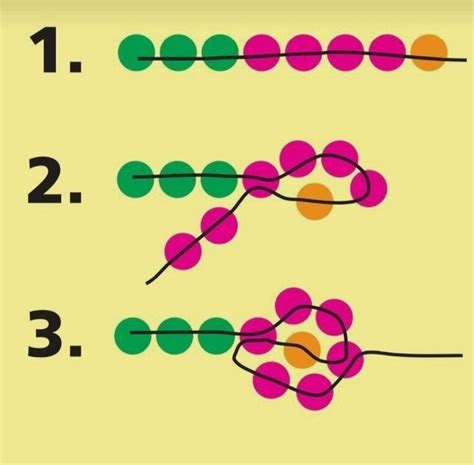 The Diagram Shows How Many Dots Are Connected To Each Other In Order To