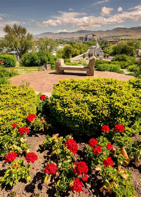 Spring Flowers in a Local City Park with Boise Skyline Stock Photo ...