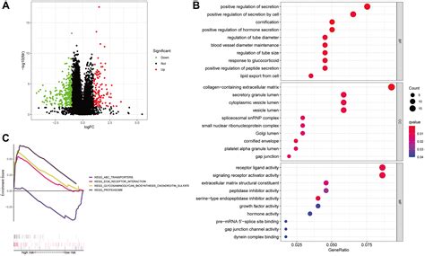 Construction And Validation Of A Prognostic Signature Based On Anoikis Related Lncrnas In Lung