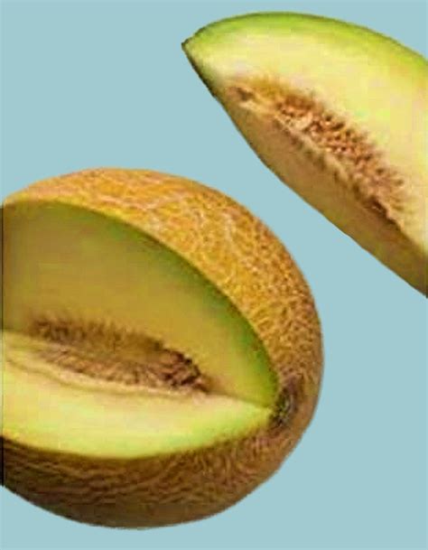 Heirloom Cantaloupe Israeli Cantaloupe Seeds Vegetable Fruit Etsy