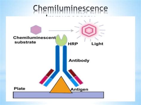 Immunoassay