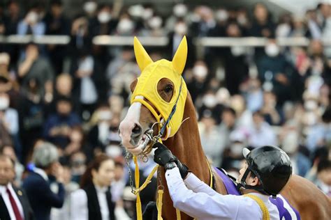 モーリスさいつよ On Twitter 230430 京都競馬11r 天皇賞・春 GⅠ ボルドグフーシュ 6着 今日は力を出しきれ