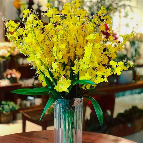 Chuva De Ouro Amarelo Mama Flora Home Decor Flores Chuva De Ouro