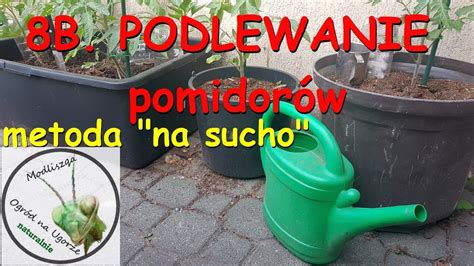 B Podlewanie Pomidor W Metoda Na Sucho Youtube