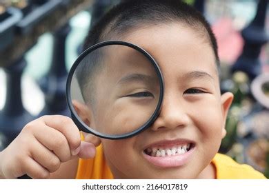 Boy Using Magnifying Glass Examine Stock Photo Shutterstock