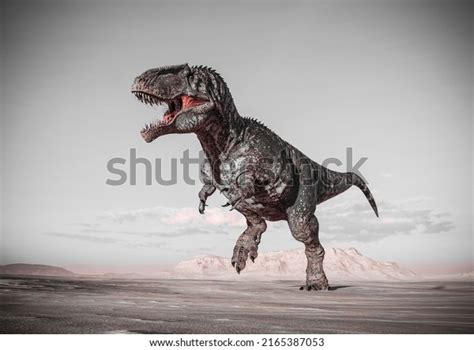 Giganotosaurus Running On Sunset Desert Side Stock Illustration 2165387053 Shutterstock