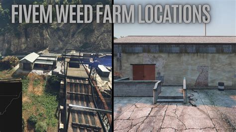 Fivem Weed Farm Locations Fivem Mods Interior Map For Roleplay