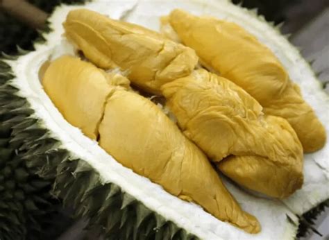 Types of durians & how to pick a good durian in 2021 durian season