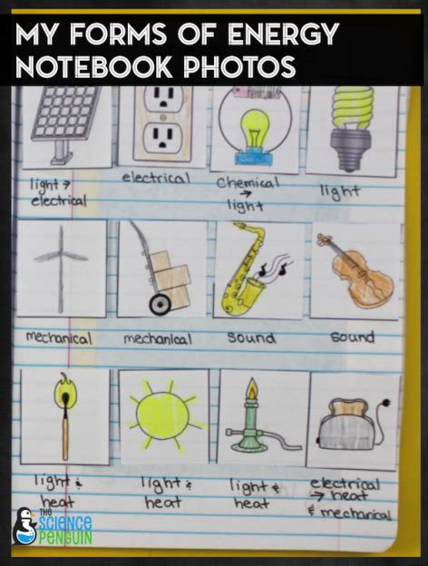 Ideas To Teach Forms Of Energy The Science Penguin Interactive