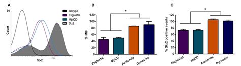 Figure 1 From Endocytosis Cytotoxicity And Translocation Of Shiga Toxin 2 Are Stimulated By