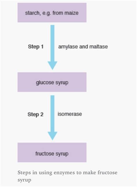 Isomerase Enzymes Aqa How To Make