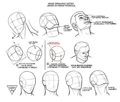 face anatomy drawing tutorial - Doretha Lister