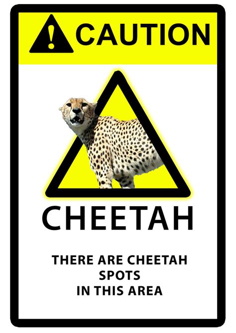 Caution - cheetah spots here by fpanther on DeviantArt