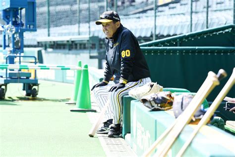 【阪神】岡田監督、対外試合無安打の大山悠輔「いくらなんでももう出るやろ」／一問一答 プロ野球写真ニュース 日刊スポーツ