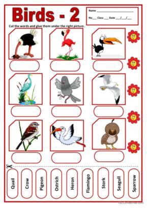 113 Birds English ESL Worksheets Pdf Doc