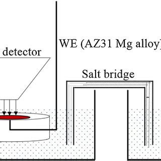 Schematic Representation Of In Situ Laser Raman Spectrum Measurement