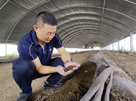 肥城市：返乡创业养蚯蚓，副总裁变身“新农人”