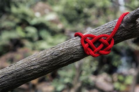 15 Minute Mini-Date: Learn to Tie a Celtic Love Knot — Make a Date of It