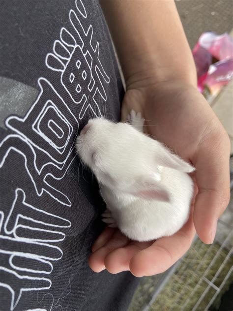 Best Chubby Bunny Images On Pholder Chubby Bbw Chubby And Aww