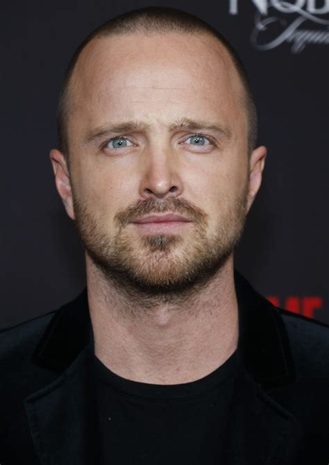 Aaron Paul Rotten Tomatoes