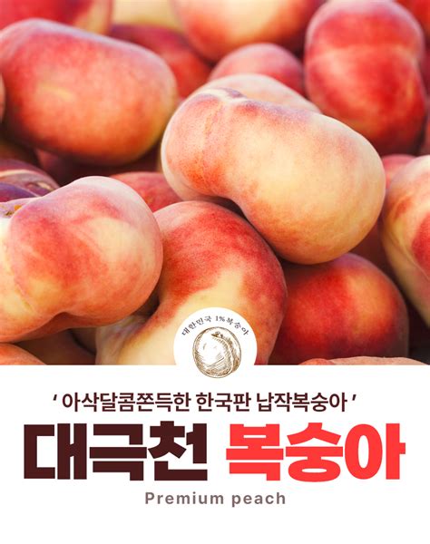 쫀득달콤한 대극천 반납작복숭아 로얄과 1kg 6~8과 홈플러스 택배배송