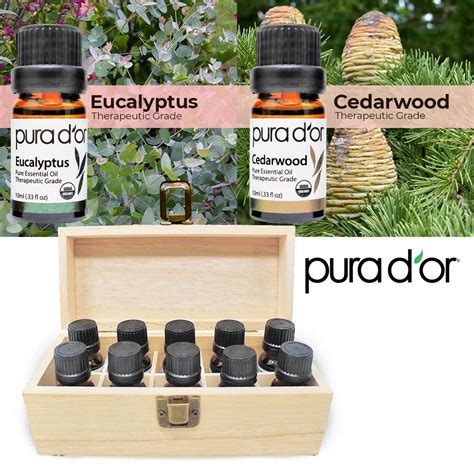 Perfect 10 Essential Oil Set Usda Organic 100 Pure Natural Thera