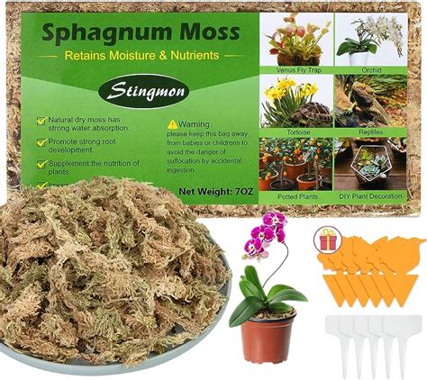 Sphagnum Moss Kg Bale Long Fibered Sphagnum Moss For