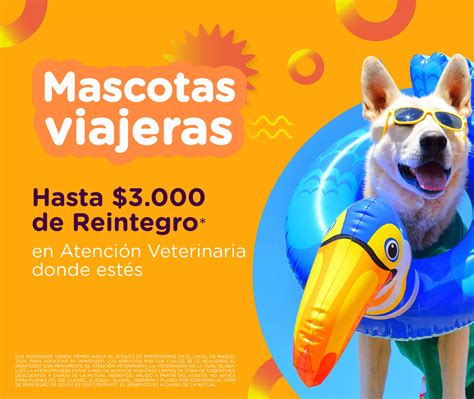Mascota 24 - Veterinaria a domicilio - Rosario, Santa Fe