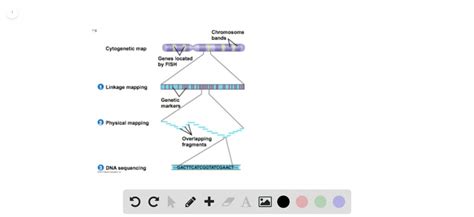 Solvedthe Procedure Of Qtl Mapping By Candidate Genes Requires Partial