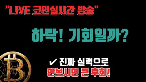 11월 3일 하락 기회일까 오늘내일 시장종목 핵심정리만 비트코인방송 코인이영수 비트코인실시간방송 말보다 실력으로